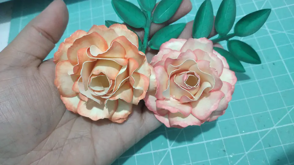 Arquivo de corte rosa aurora  1