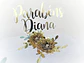 Topo Jardim Dourado - Thumbnail 1