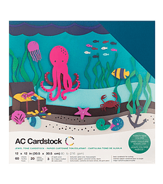 AC Cardstock Jewel  – Pack 12×12