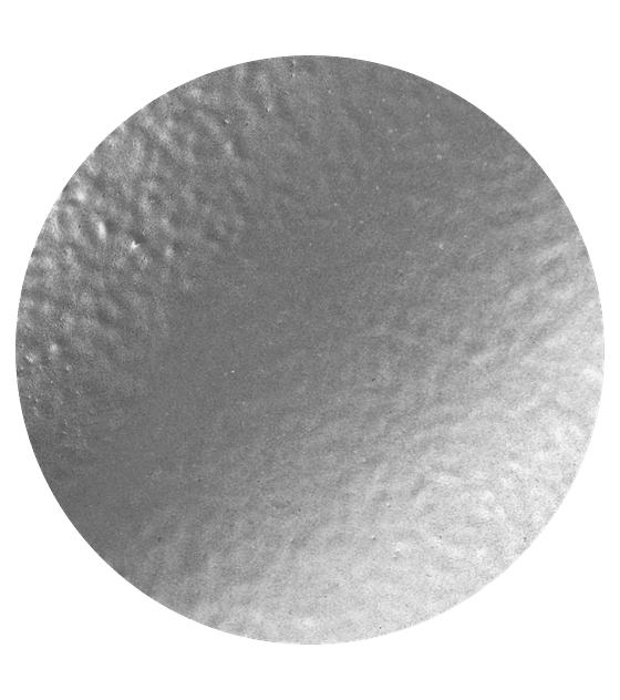 SILVER EMBOSSING POWDR 