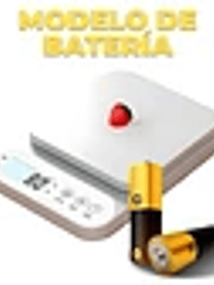 Balanza Digital  0 A 10kg 