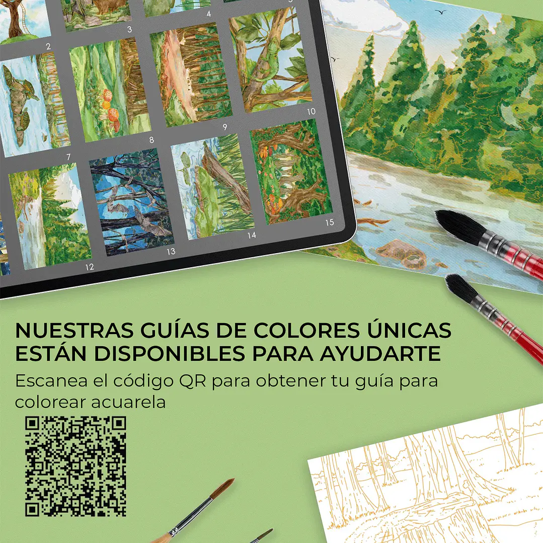 LIBRO PARA COLOREAR DE ACUARELA CON TEMÁTICA BOSQUE (15 HOJAS 300 GSM) 2