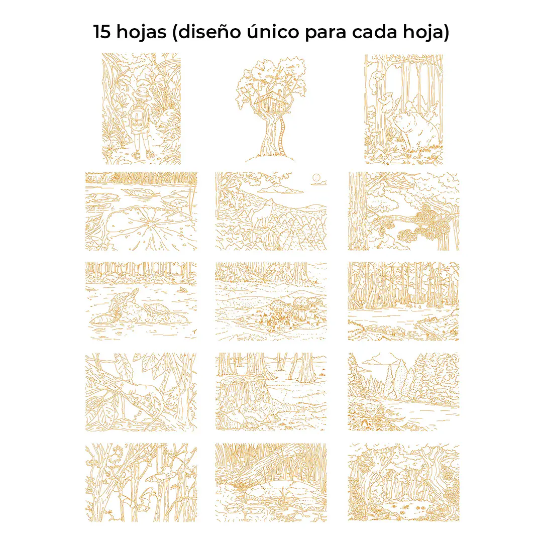 LIBRO PARA COLOREAR DE ACUARELA CON TEMÁTICA BOSQUE (15 HOJAS 300 GSM) 4