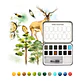 GRABIE CLUB BOX BOSQUE - Miniatura 2