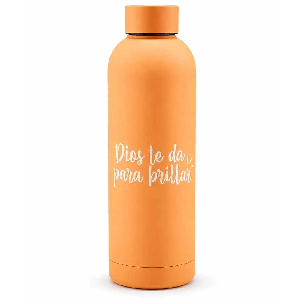 Botella Térmica (Variedad de Frases/Colores)