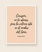 Corazón, no te afanes · PC-01 - Miniatura 4