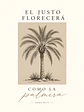 El justo florecerá como la palmera · BP-02 - Miniatura 2
