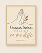Gracias, Señor, por lo que no me diste · GR-06 - Miniatura 3