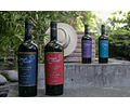 6 BOTELLAS / EDICIÓN LIMITADA CARIGNAN 