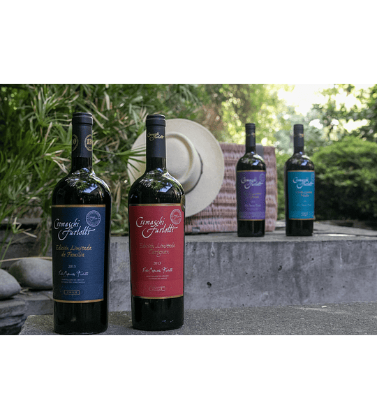 6 BOTELLAS / EDICIÓN LIMITADA CARIGNAN 