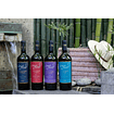 6 BOTELLAS / EDICIÓN LIMITADA CARIGNAN 