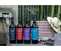 6 BOTELLAS / EDICIÓN LIMITADA MALBEC 