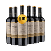 6 BOTELLAS / GRAN RESERVA CARMENERE 