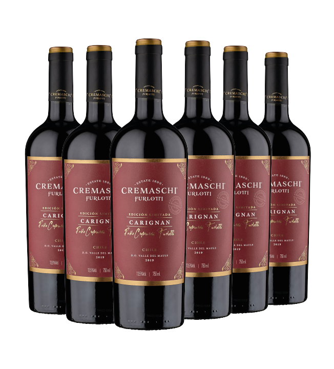 6 BOTELLAS / EDICIÓN LIMITADA CARIGNAN