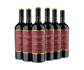 6 BOTELLAS / EDICIÓN LIMITADA CARIGNAN 