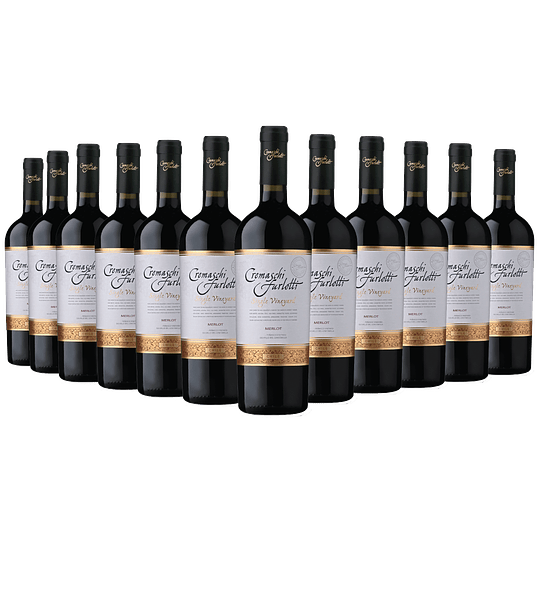  12 BOTELLAS / GRAN RESERVA MERLOT 