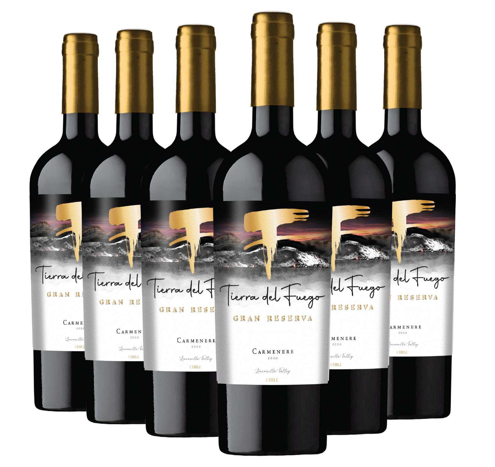 6 BOTELLAS / GRAN RESERVA CARMENERE