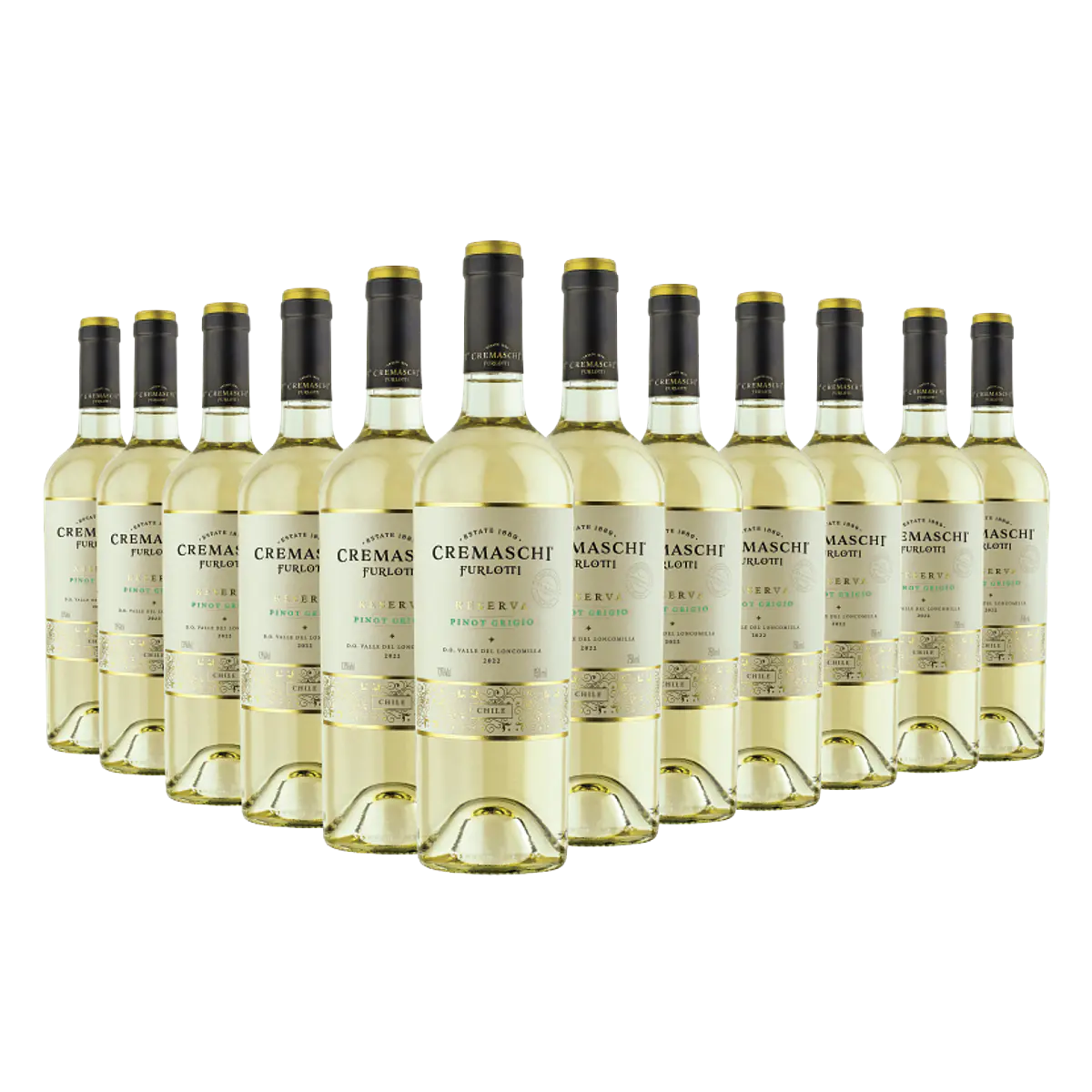 12 BOTELLAS / RESERVA PINOT GRIGIO