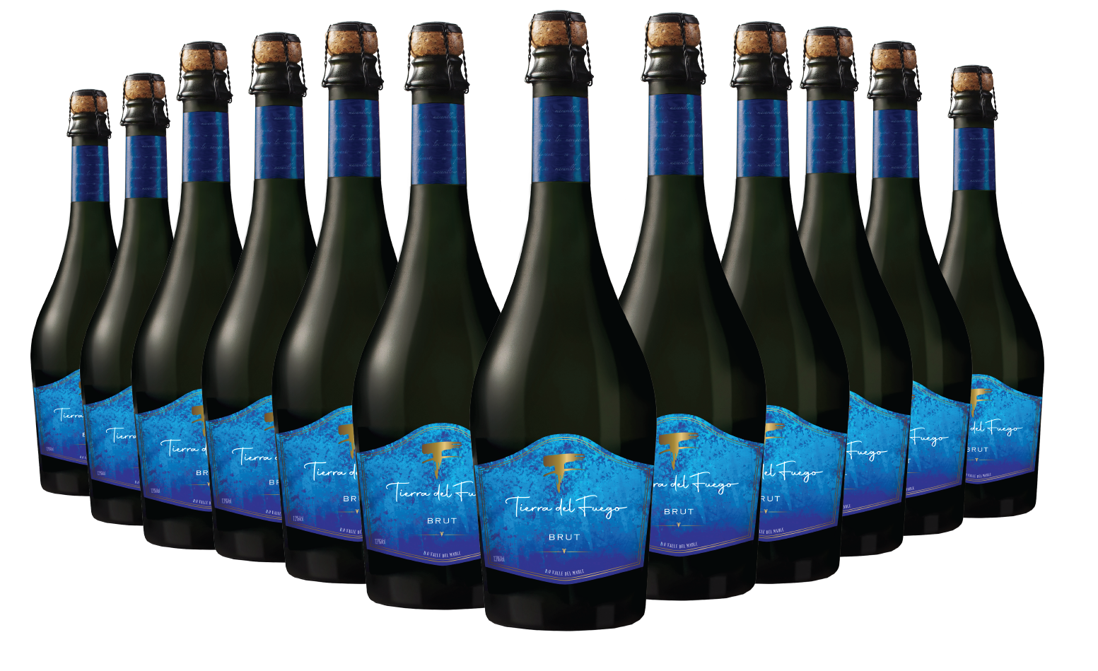 12 BOTELLAS / ESPUMANTE BRUT
