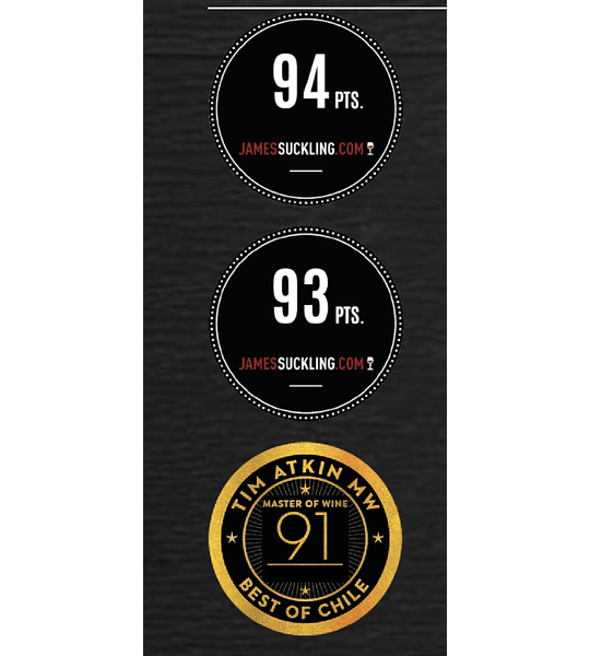 6 BOTELLAS / EDICIÓN LIMITADA DE FAMILIA