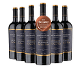 6 BOTELLAS / EDICIÓN LIMITADA DE FAMILIA