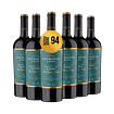 6 BOTELLAS / EDICIÓN LIMITADA MALBEC