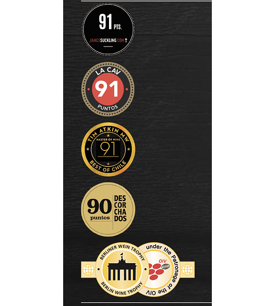 6 BOTELLAS / GRAN RESERVA CARMENERE