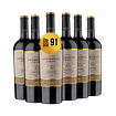 6 BOTELLAS / GRAN RESERVA CARMENERE
