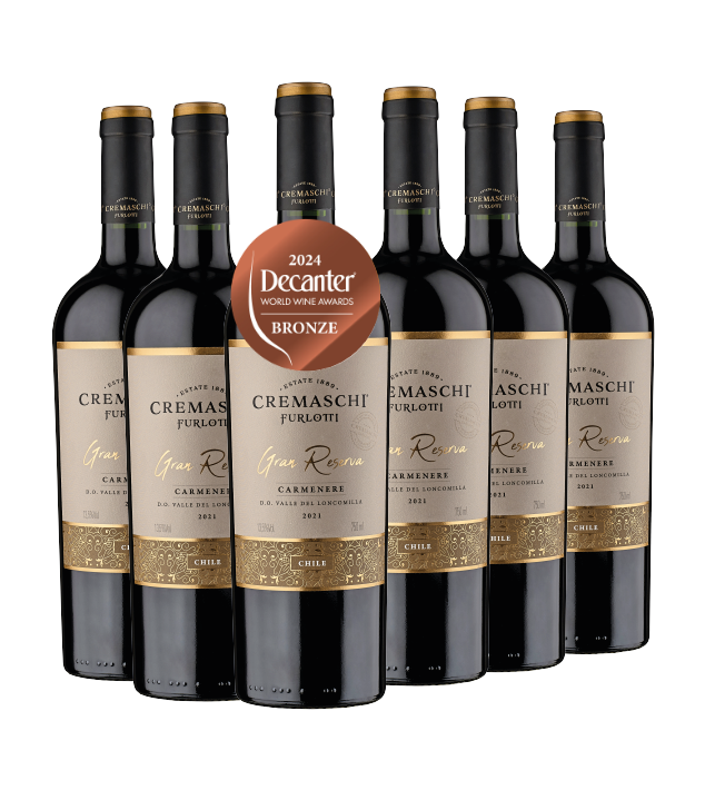 6 BOTELLAS / GRAN RESERVA CARMENERE