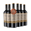 6 BOTELLAS / GRAN RESERVA CARMENERE