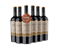 6 BOTELLAS / GRAN RESERVA CARMENERE