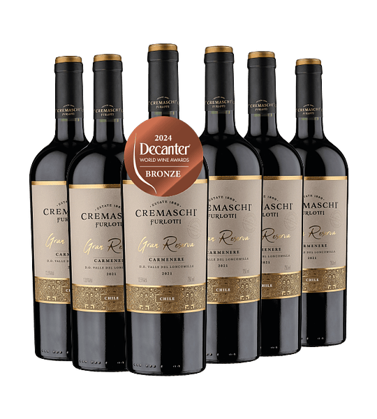6 BOTELLAS / GRAN RESERVA CARMENERE