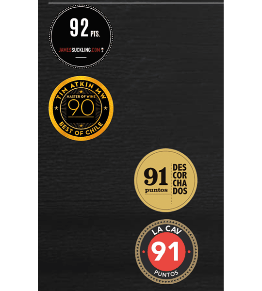 6 BOTELLAS / GRAN RESERVA CABERNET SAUVIGNON