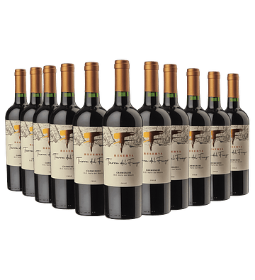 12 BOTELLAS /  RESERVA CARMENERE