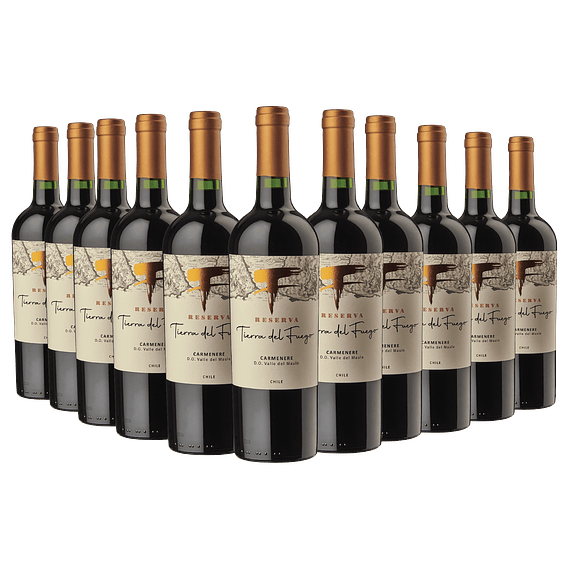12 BOTELLAS /  RESERVA CARMENERE