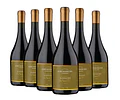6 BOTELLAS./ EDICION LIMITADA GARNACHA 