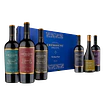 BAUL EDICION LIMITADA 6 BOTELLAS MIX
