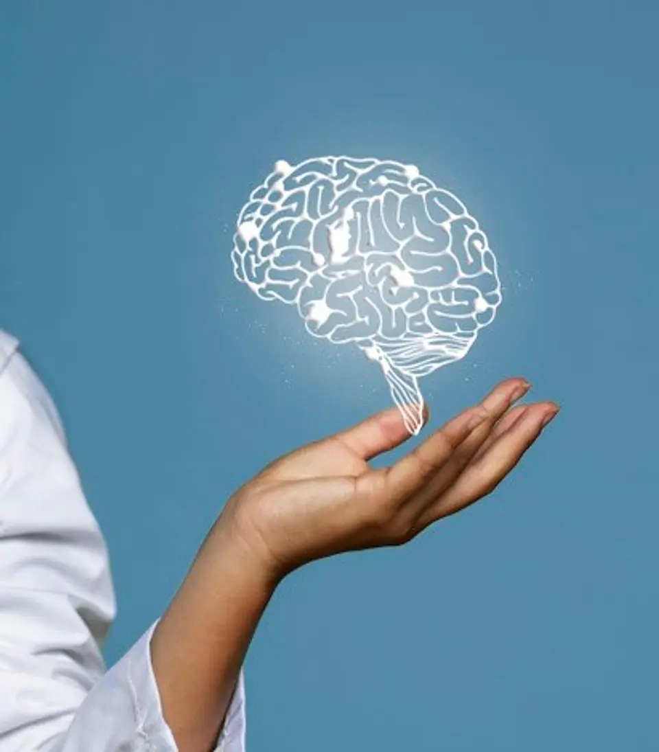 Neuroventas. El Cerebro Comprador 1