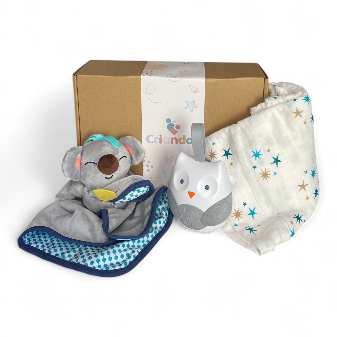 Box Dreams