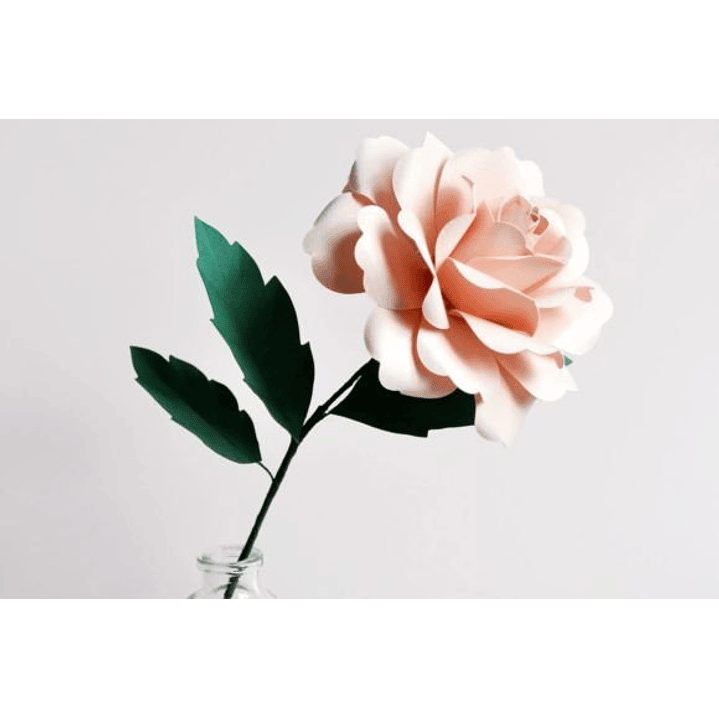 ARQUIVO DE CORTE MOLDES DE FLORES (PNG) 2