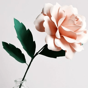 ARQUIVO DE CORTE MOLDES DE FLORES (PNG)