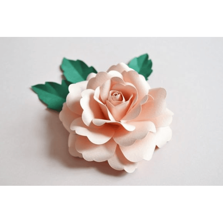 ARQUIVO DE CORTE MOLDES DE FLORES (PNG) 3