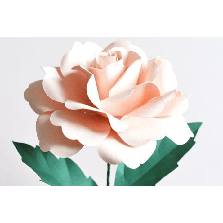 ARQUIVO DE CORTE MOLDES DE FLORES (PNG) 4