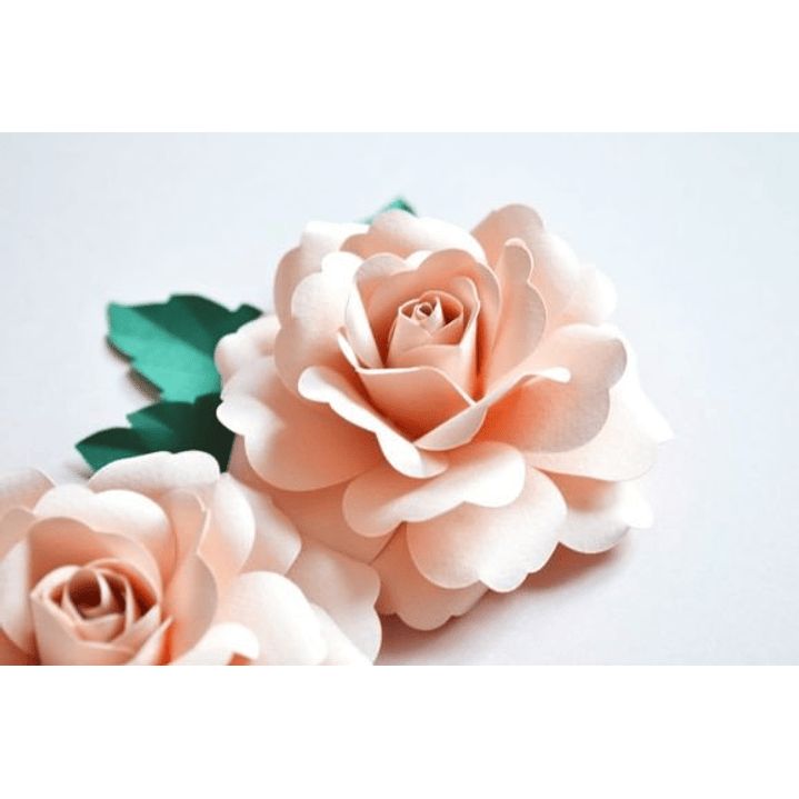 ARQUIVO DE CORTE MOLDES DE FLORES (PNG) 5