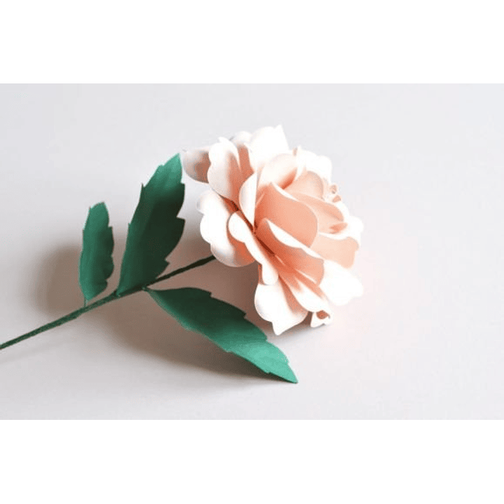 ARQUIVO DE CORTE MOLDES DE FLORES (PNG) 6