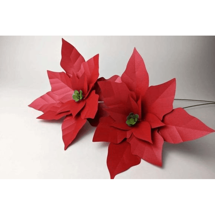 ARQUIVO DE CORTE MOLDES DE FLORES (PNG) 1