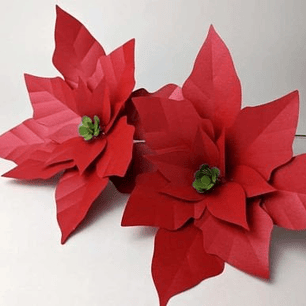 ARQUIVO DE CORTE MOLDES DE FLORES (PNG)