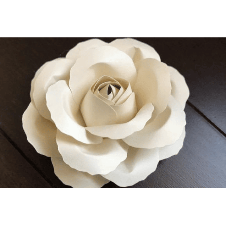 ARQUIVO DE CORTE MOLDES DE FLORES (PNG) 2