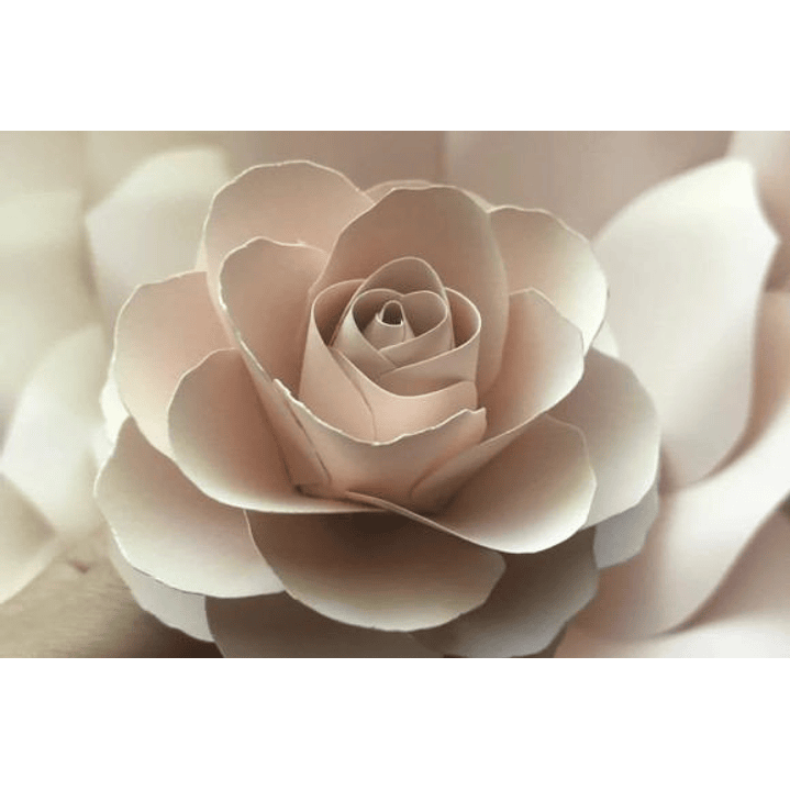 ARQUIVO DE CORTE MOLDES DE FLORES (PNG) 3