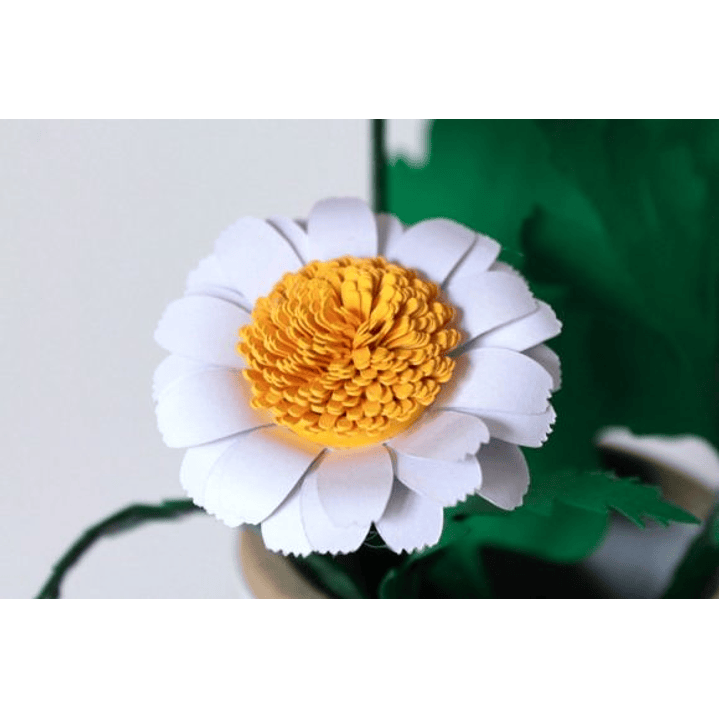 ARQUIVO DE CORTE MOLDES DE FLORES (PNG) 2